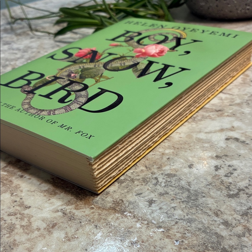 Boy, Snow, Bird Novel by Helen Oyeyemi; Fiction; African American; Literature - Picture 5 of 5